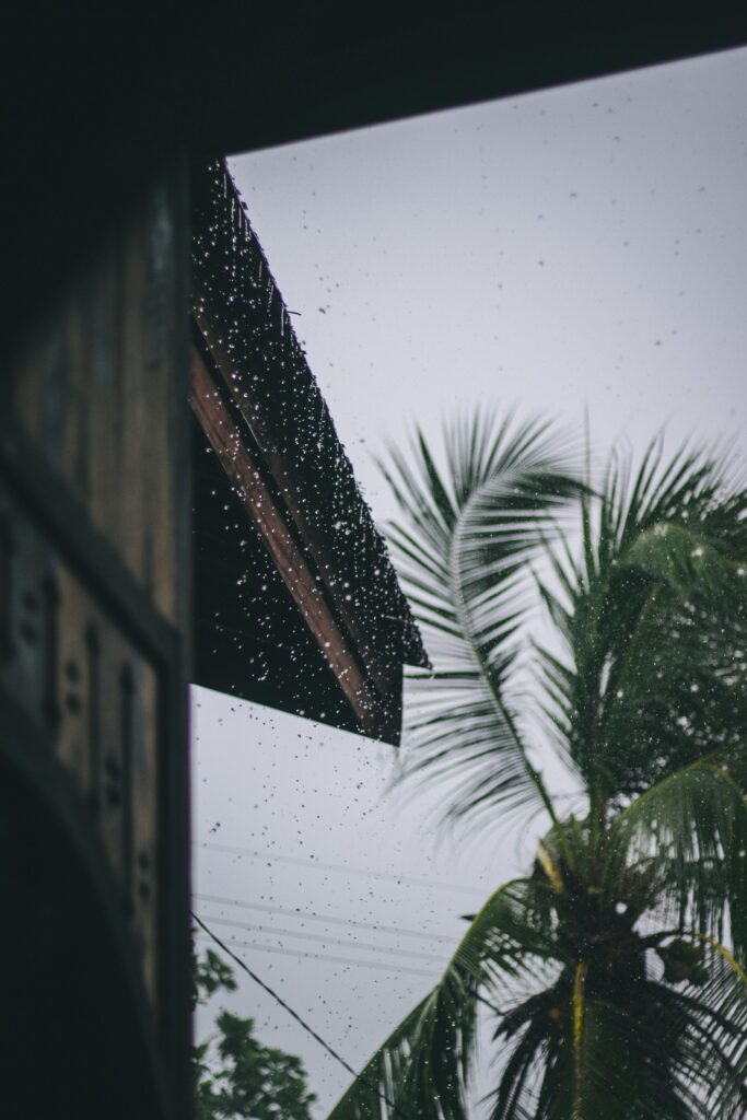 Entenda por que esgoto e água da chuva devem ter redes separadas